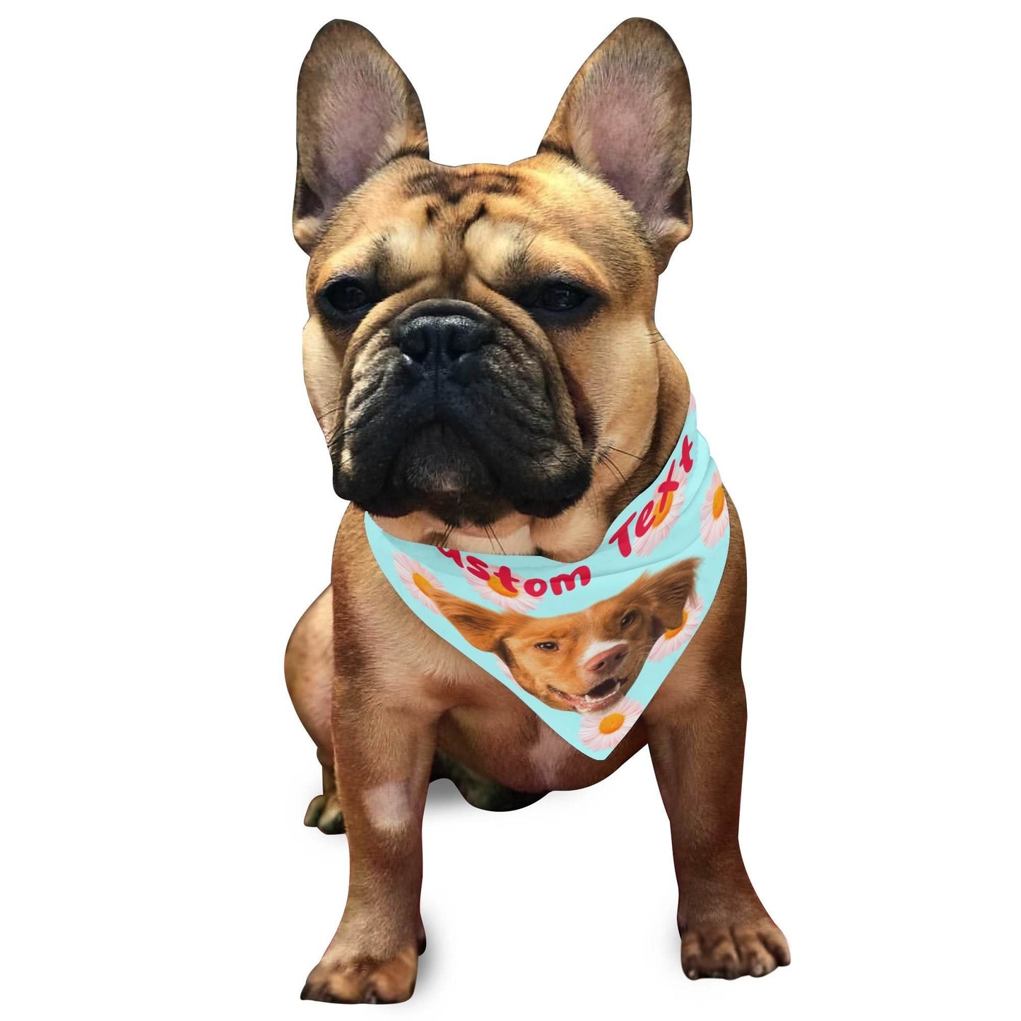 Pet Scarf Adjustable Bandanas - WePrint
