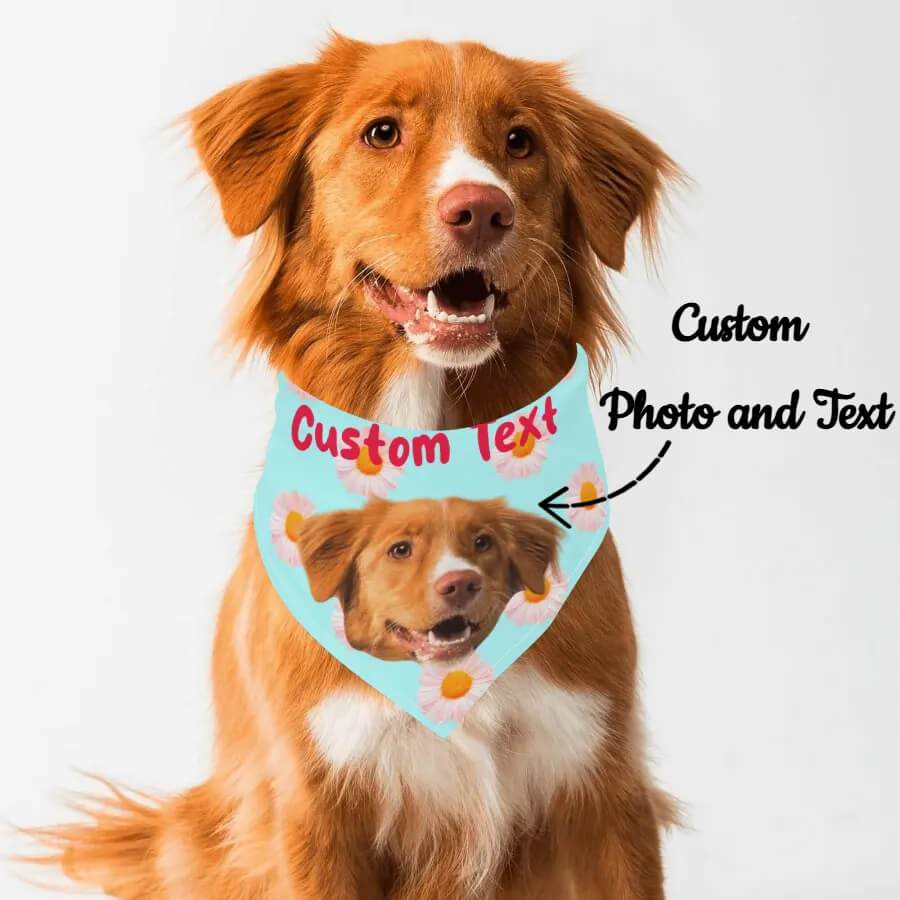 Pet Scarf Adjustable Bandanas - WePrint