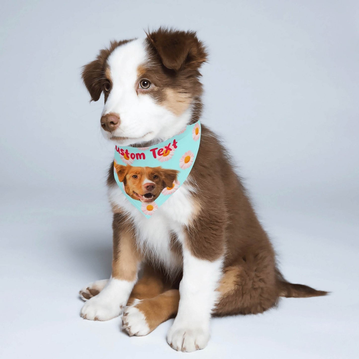 Pet Scarf Adjustable Bandanas - WePrint